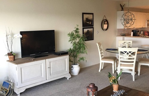 Isles of Capri Condo | Riverfront Condo in Isles of Capri near Marco Island