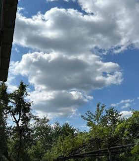 Guria House | Riverside Retreat on Bakhmaro Road