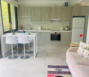 Kalopanayiotis Apartment | Riverside Suite