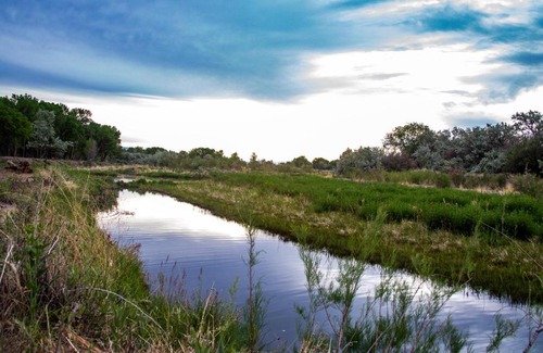 Delta House | Riverwood Inn Hotel Grand Kitchenette Suite