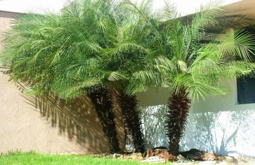 Noroeste House | Riviera empreendimentos