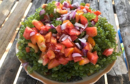 Caramoan House | RMTM's Beachfront Accommodation - Caramoan