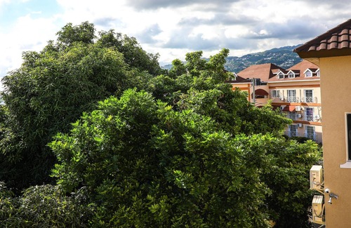 Saint Andrew Hotel | Rochester Palms