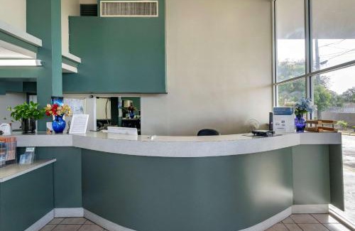 Clearwater Hotel | Rodeway Inn Clearwater-Largo