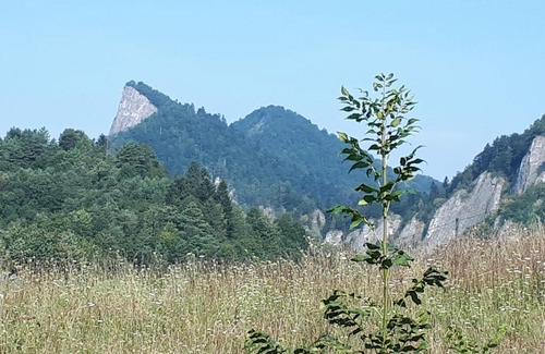 Zdiar House | Rodinný penzion Ždiaran