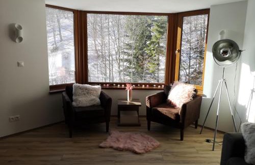 Horna Lehota Apartment | Romantic Chopok Juh Apartment 22
