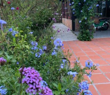 Da Lat Ski Chalet | Romantic house 2 on a pine hill Dalat