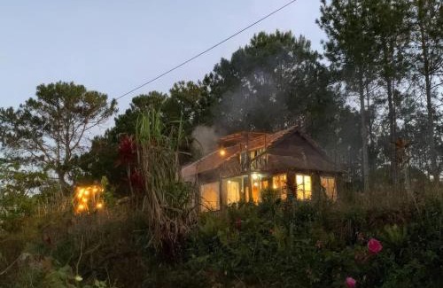 Da Lat Ski Chalet | Romantic house on a pine hill Dalat
