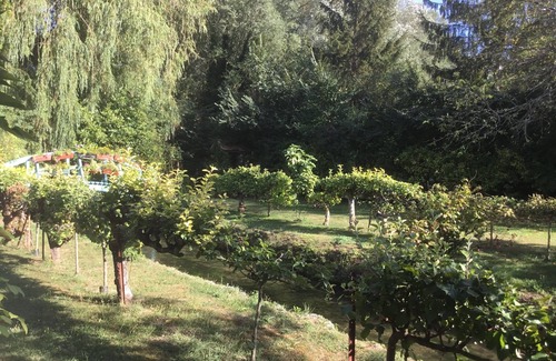Mereville House | Romantic Mill Filled with Charm with Easy Drive to Paris