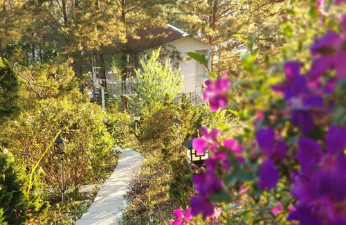 Da Lat House | Romantic Treehouse Queen Bed, Balcony