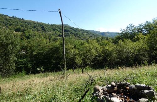 Buces Other | Romantic yurt in Apuseni mountains