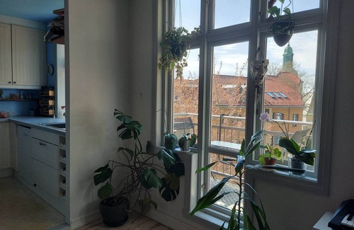 Sentrum Apartment | Romslig Leilighet i Bergen Sentrum