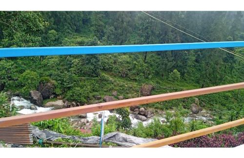 Kumai House | Rongo River View Homestay