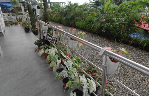 Kumai House | Rongo's Riverside Farm Stay