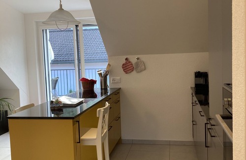 Bad Zurzach Apartment | Roof top flat