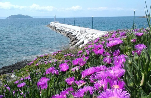 Neos Marmaras House | Room in BB - Welcome To Hotel petunia, In Neos-marmaras,xalkidiki ,greece, triple room 1