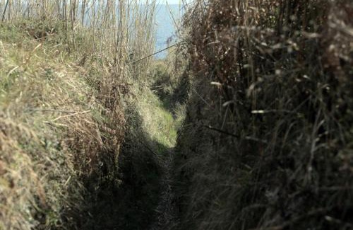 Gornje selo House | Room in Susak with air conditioning, Wi-Fi (3865-3)