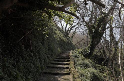 Gornje selo House | Room in Susak with air conditioning, Wi-Fi (3865-3)