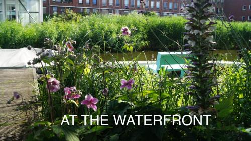Amsterdam East Bed & Breakfast | Room With A Few