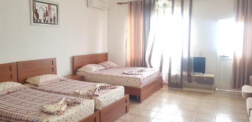 Shkoder House | ROOMS balani