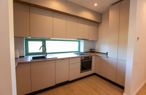 Sector 1 Apartment | Roots Three - Modern Lakeview Apartment