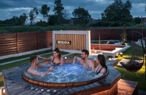 Brasov Villa | Roots Villa Sequoia