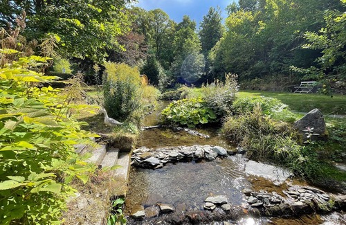 Latrop Apartment | Rothaarglück - Fewo Hase - Ferienwohnung Hase