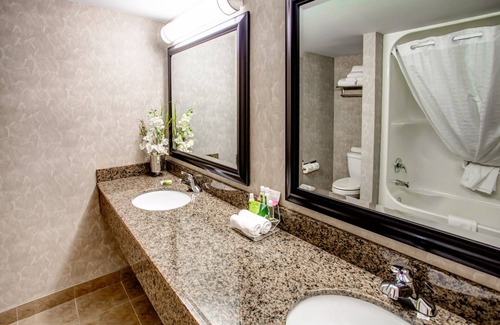 West Edmonton Hotel | Royal Hotel West Edmonton, Trademark Collection by Wyndham