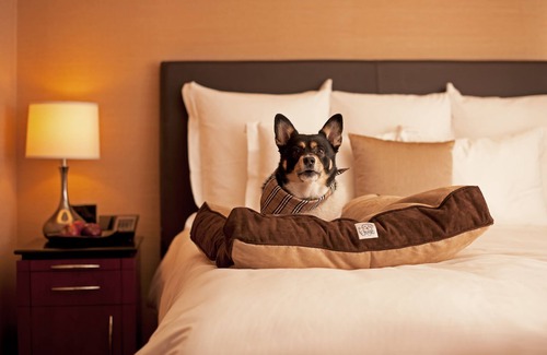 Arcadia Resort | Royal Palms Resort and Spa, part of Hyatt