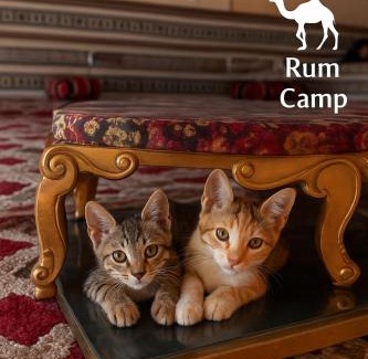 Wadi Rum Bed & Breakfast | Rum Sophia camp