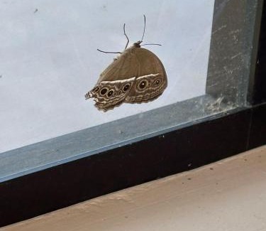 Pontian Villa | Rumah Singgah