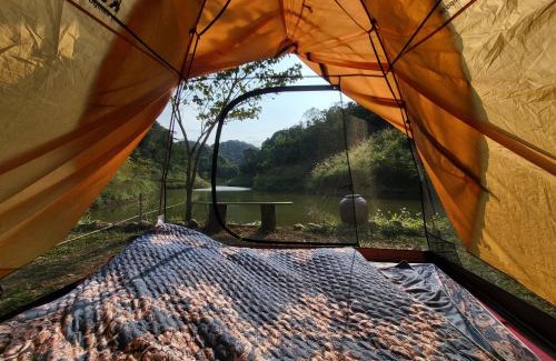 Tan Lac Other | Rừng - The Cozy Place