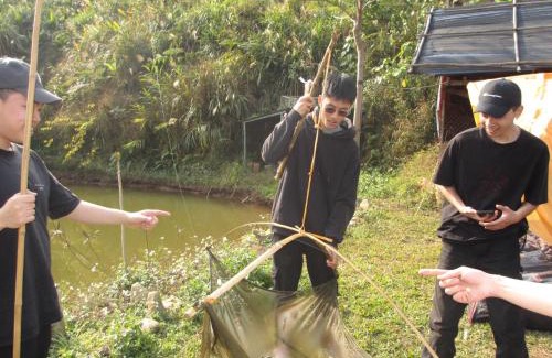 Tan Lac Other | Rừng - The Cozy Place