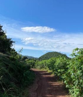 Tan Lac Other | Rừng - The Cozy Place