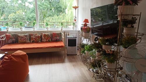 Rusne Apartment | Rusne apartment