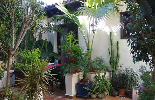 El Guincho Apartment | Rustic holiday home with small patio-terrace