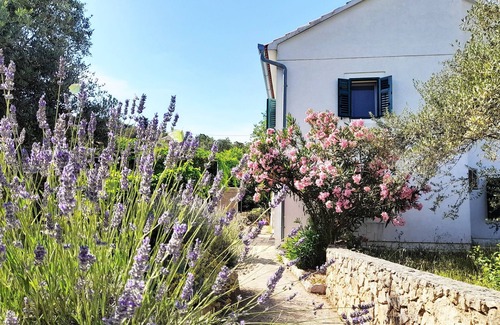 Preko House | Rustic House Miketa -family- friendly holiday home for nature lovers!