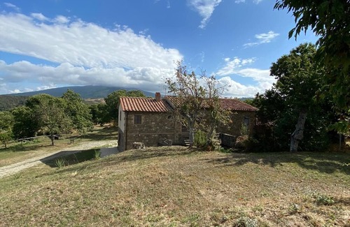 Arcidosso House | Rustic immersed in a centuries-old chestnut grove