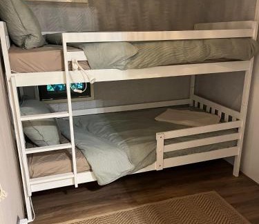 Hattemerbroek Ski Chalet | RustOord Chalet Ontspannen op de Veluwe