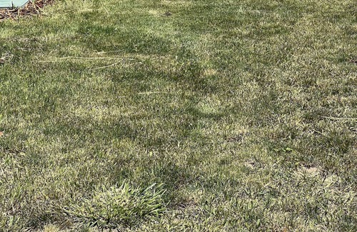 Pine Hollow RV Rental | RV Hook-up by the Lake