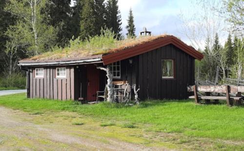 Grong Other | Sæterhaugen overnatting