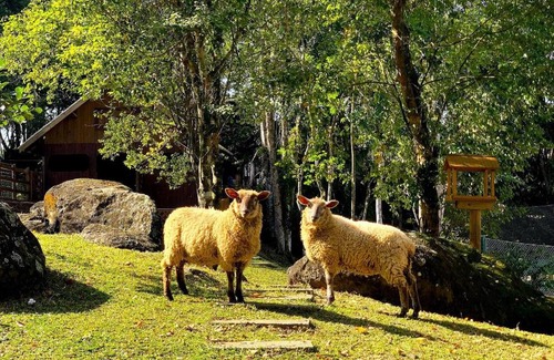 Palhoca House | Sítio do Alto - Lazer, Conforto e Fácil Acesso
