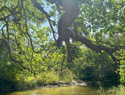 Tutoia House | Sítio Encanto do Delta