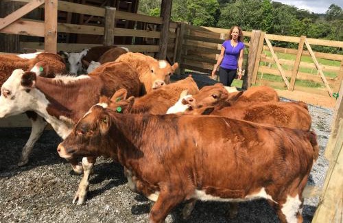 Testo Salto House | Sítio Paz e Sossego