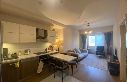 Gaziosmanpasa Apartment | Söz Bir Reluxe Revis