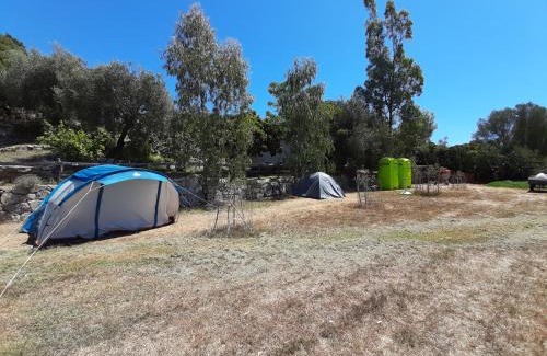 Tortoli Bed & Breakfast | S'Imbragu Farm B&B