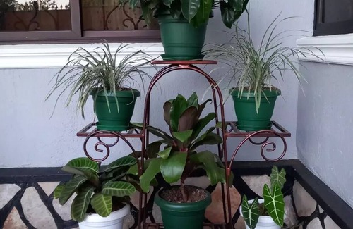 Entebbe Apartment | S&S Homestay Entebbe