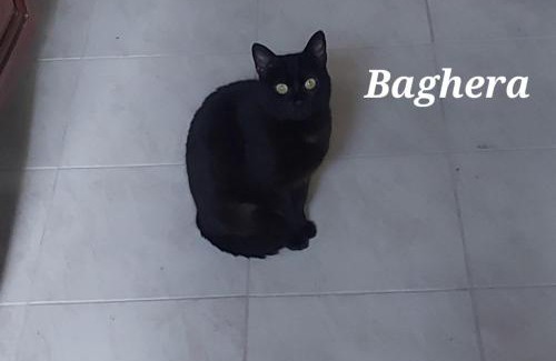 Iglesias Apartment | Sa domu 'e pisittu