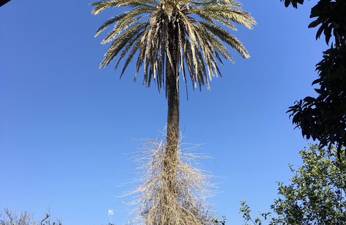 Calimera Apartment | Sabella Tommasi Entire building