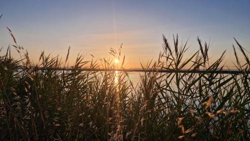 Carnon-Plage Apartment | Sable & Pampas - Meublé de Tourisme 5 étoiles